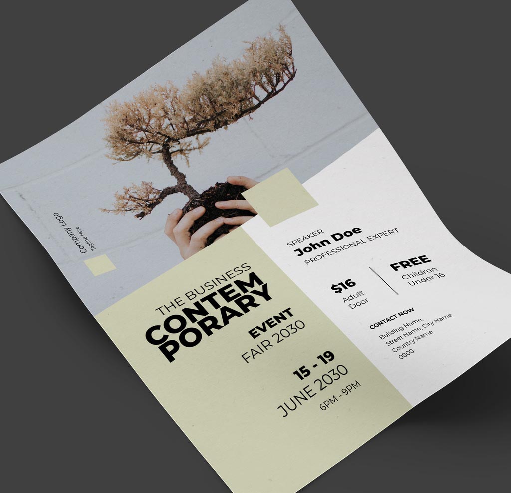 Minimal Business Flyer INDD