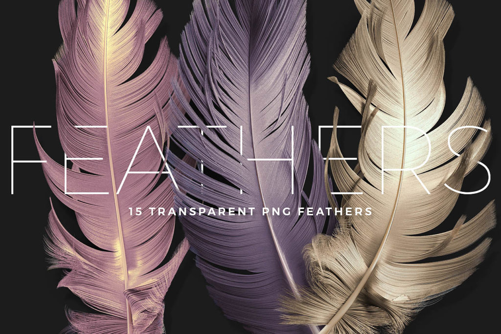 Transparent PNG feathers