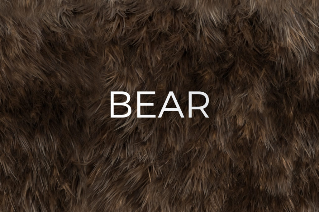 Bear Skin Fur Texture