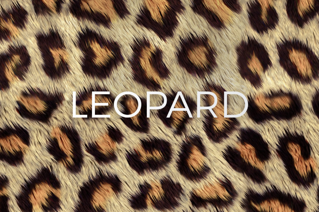 Leopard Print Pattern