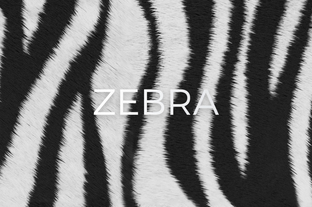 Zebra Print Pattern