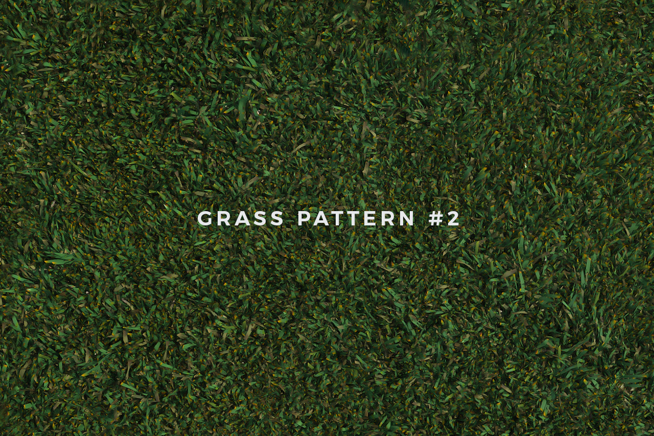Seamless Grass Pattern/Texture 2