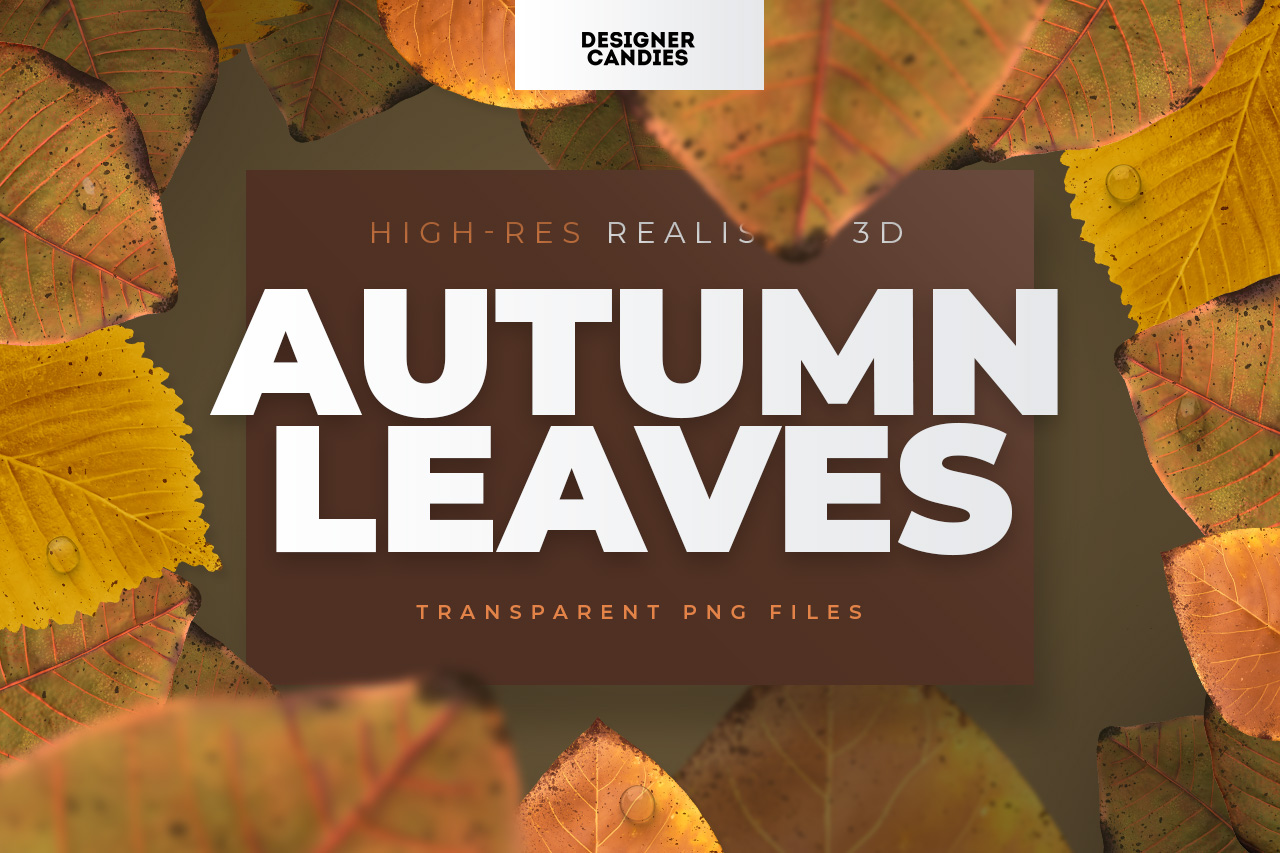 Autumn Leaves