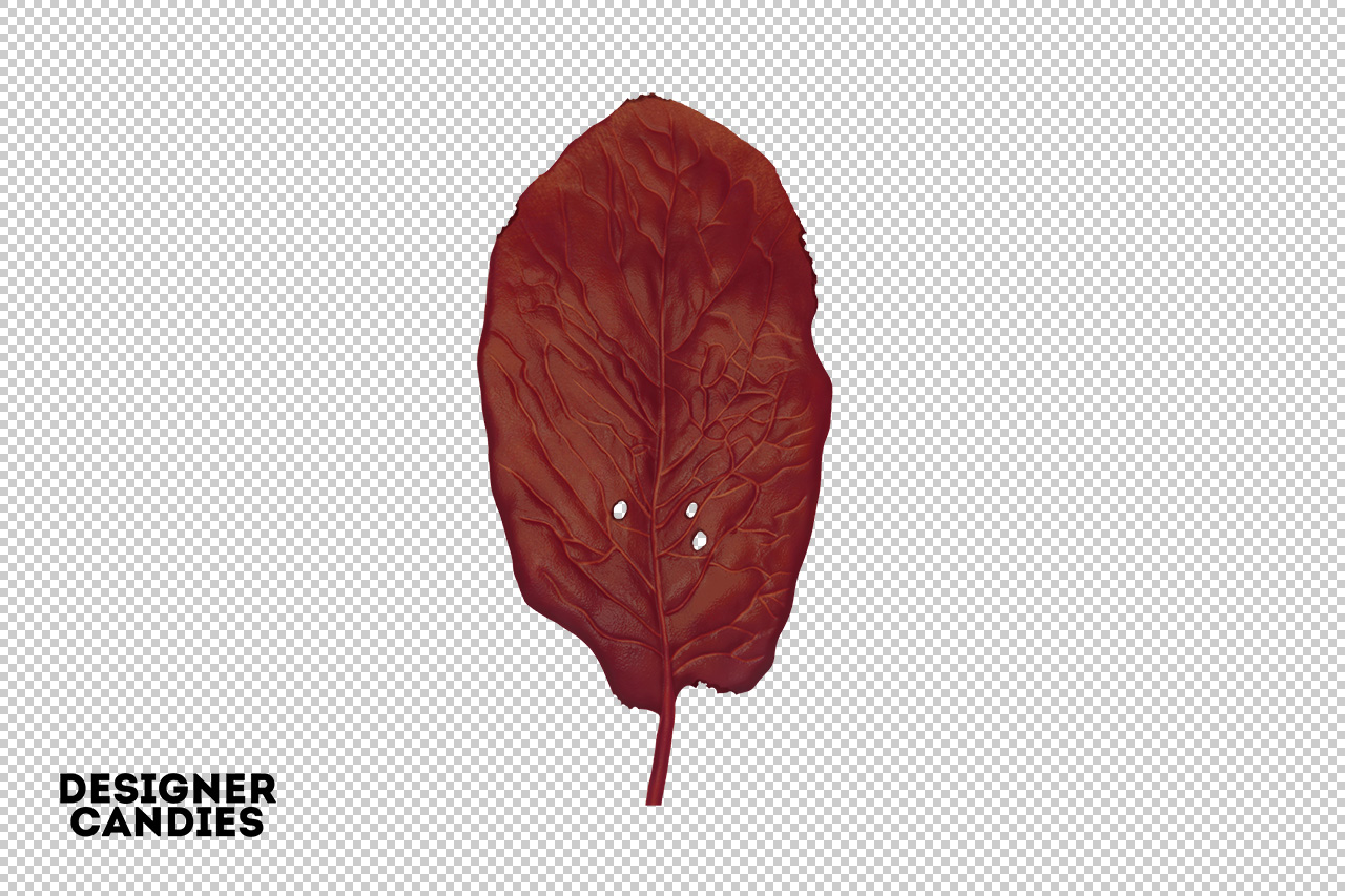 Autumn/Fall Leaf Preview