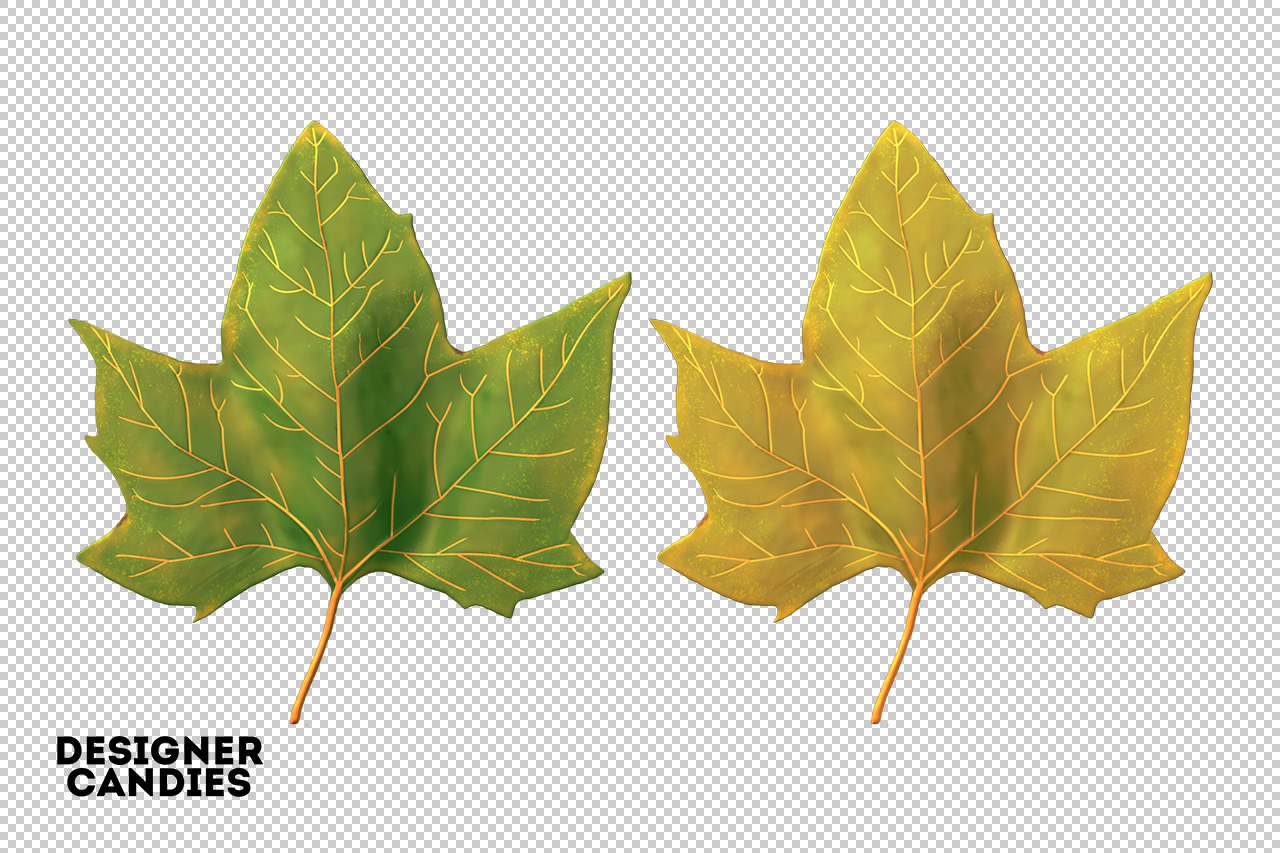 Autumn/Fall Leaf Preview