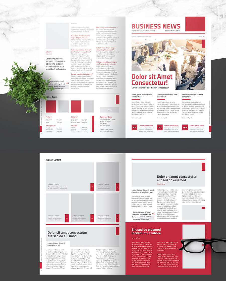 Business Newsletter with Light Red Accents