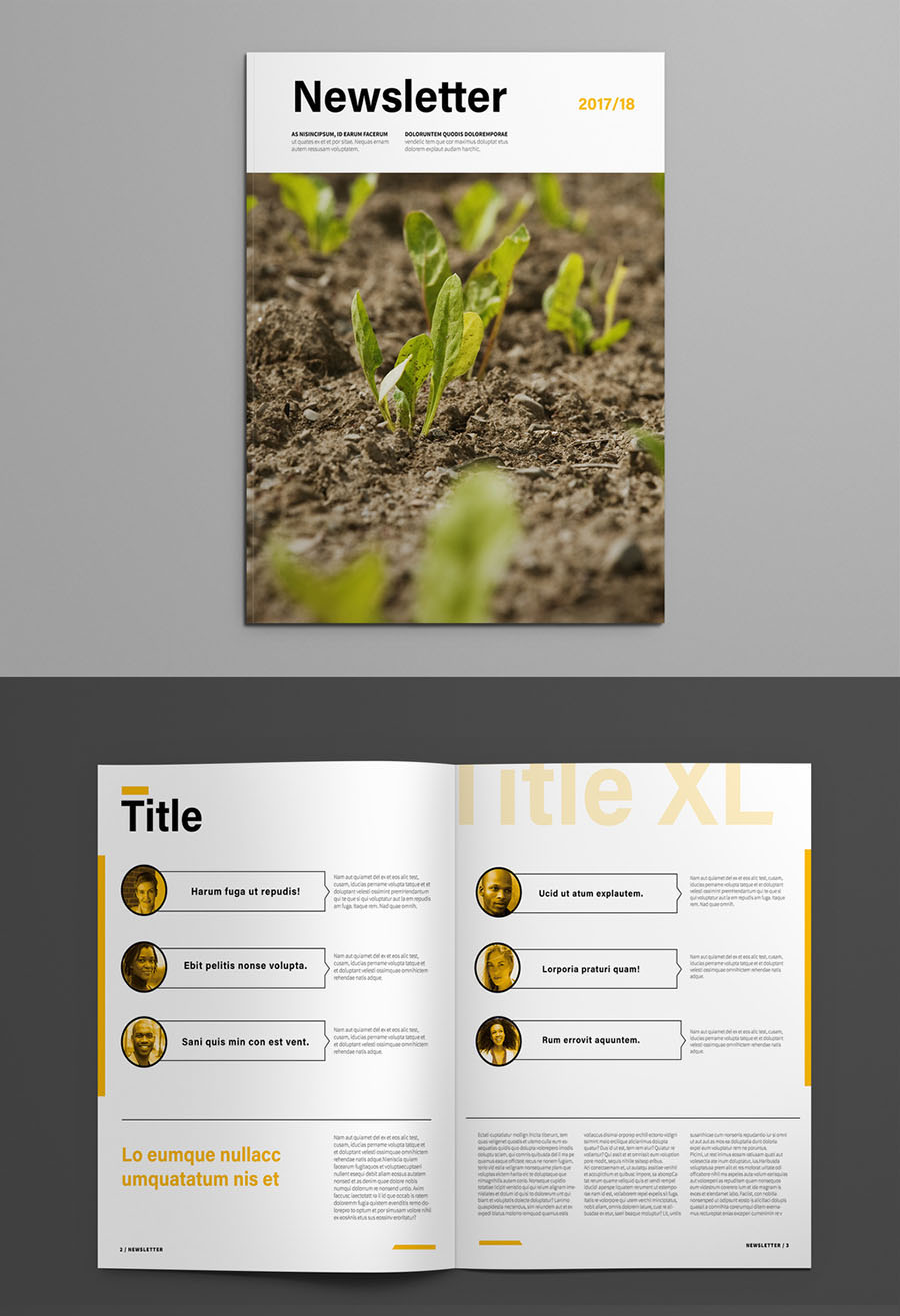 Clean Newsletter Layout