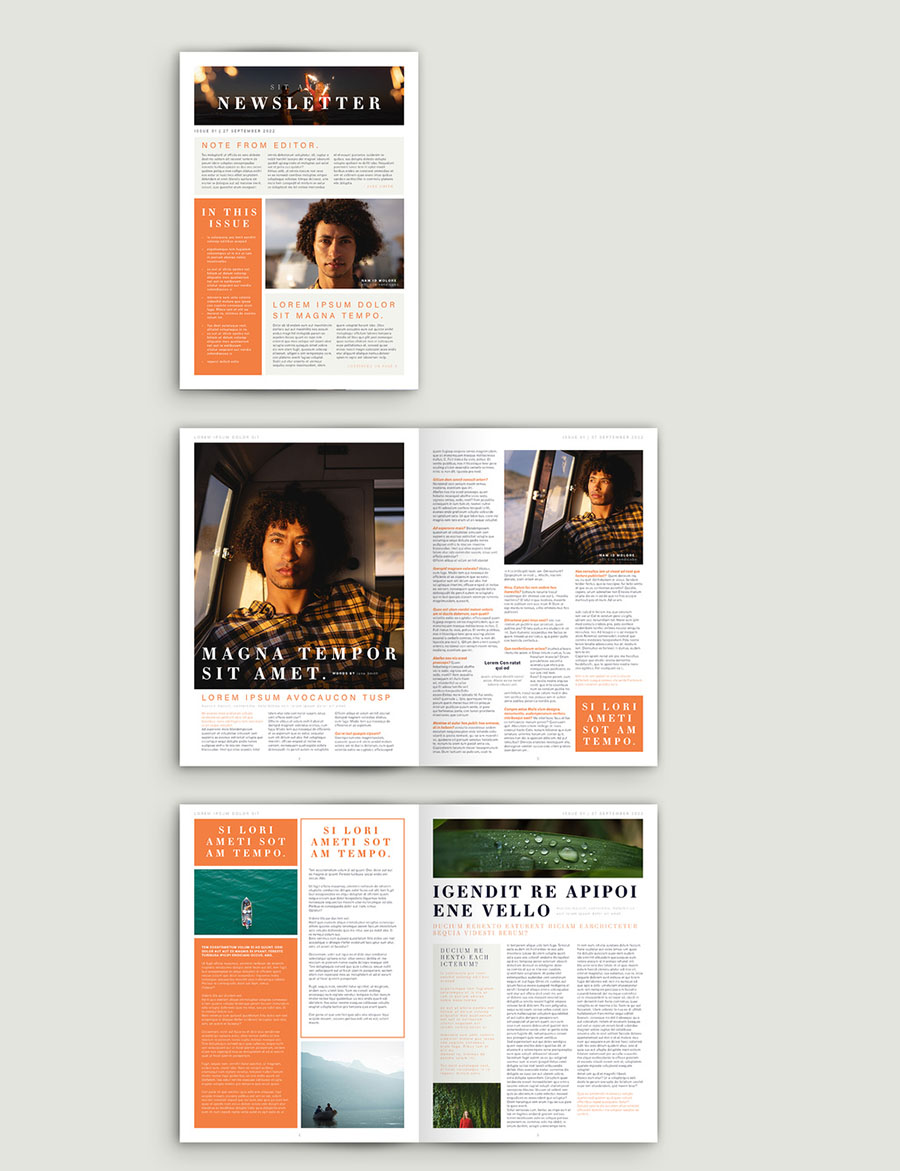 Newsletter with Orange Accents
