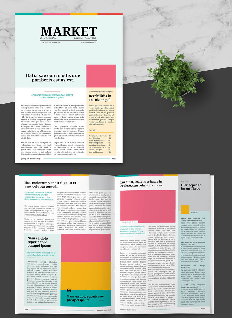 Business Newsletter with Colorful Accents