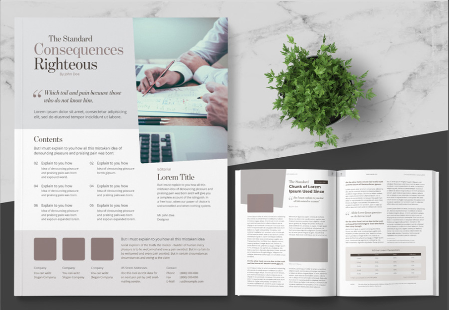 Business Newsletter Layout with Tan Accents