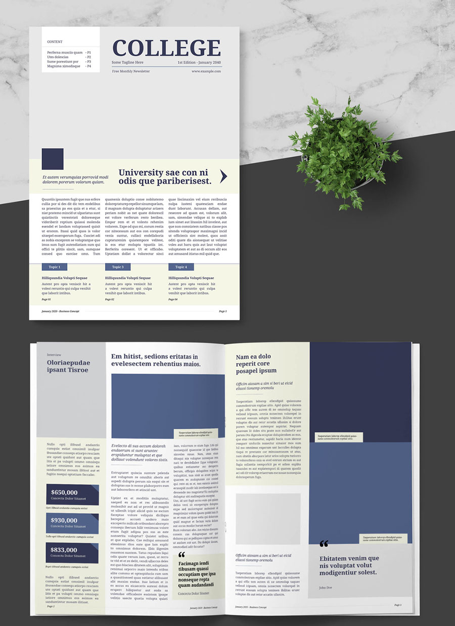 Newsletter or Magazine with Teal Accents