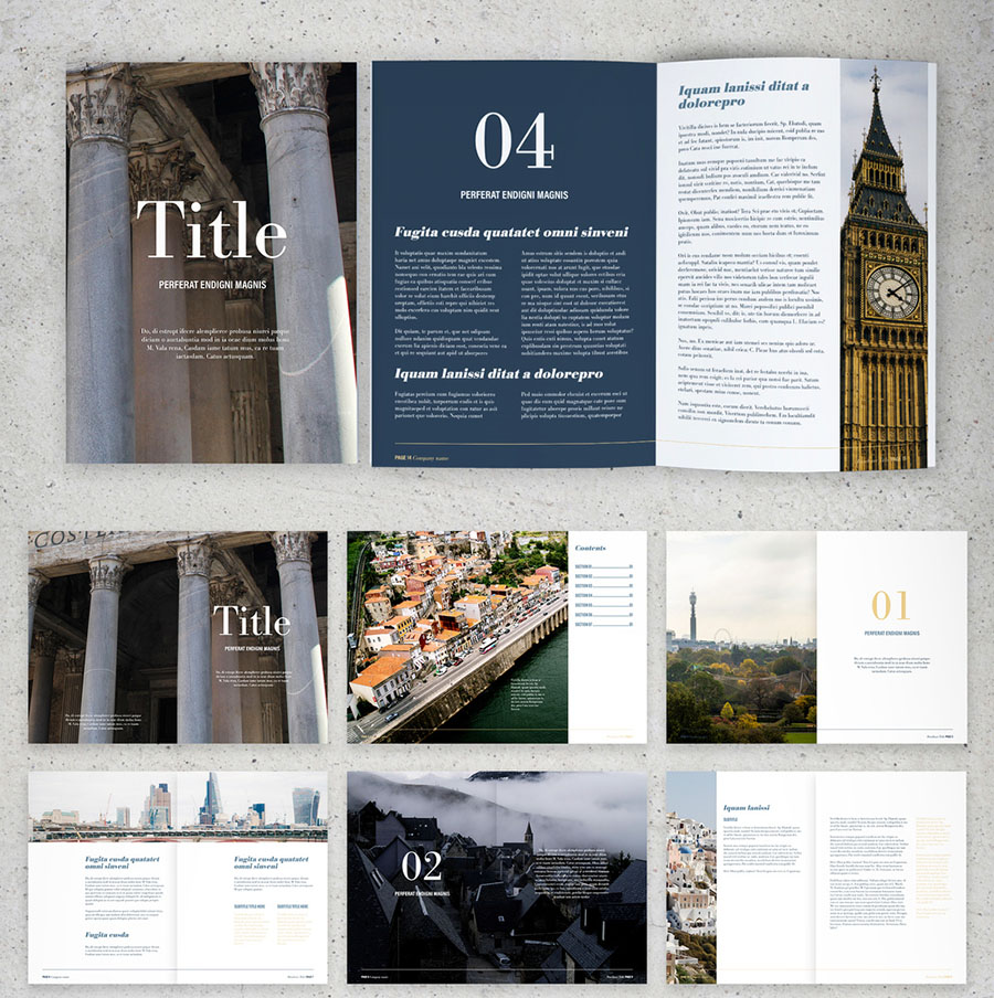 Blue and White Brochure Layout