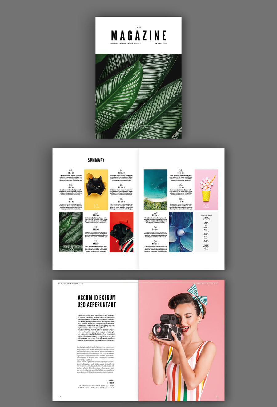 InDesign Magazine Layout Template