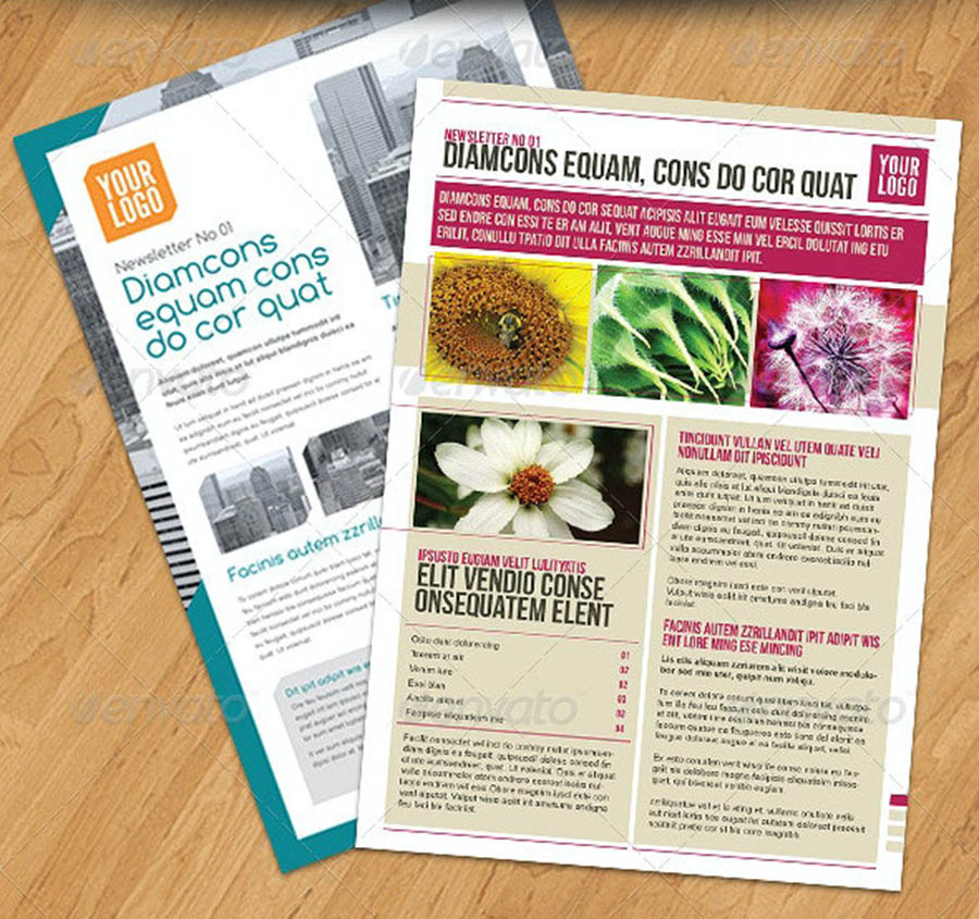 Newsletters PACK 2 in 1 InDesign Newsletter Templates