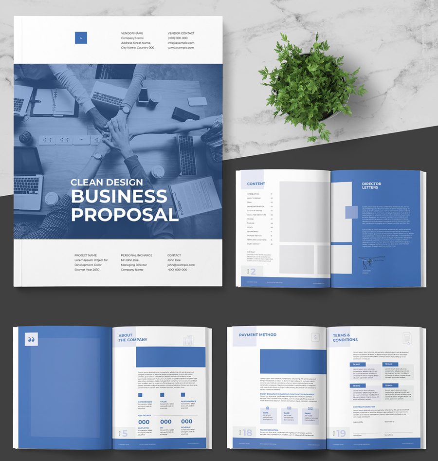 Business Proposal Layout with Blue Accents