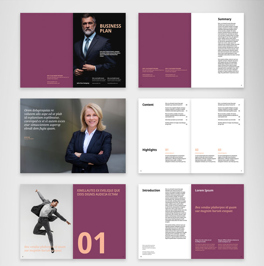 Business Plan Brochure Layout