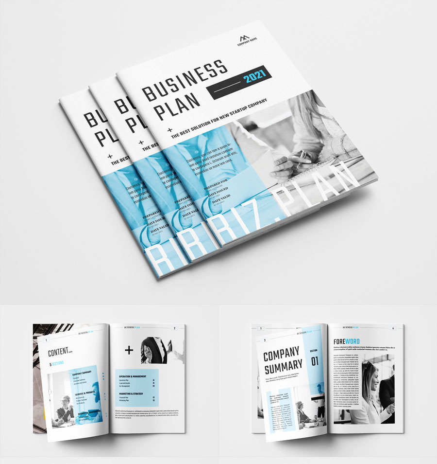 . Business Plan Layout