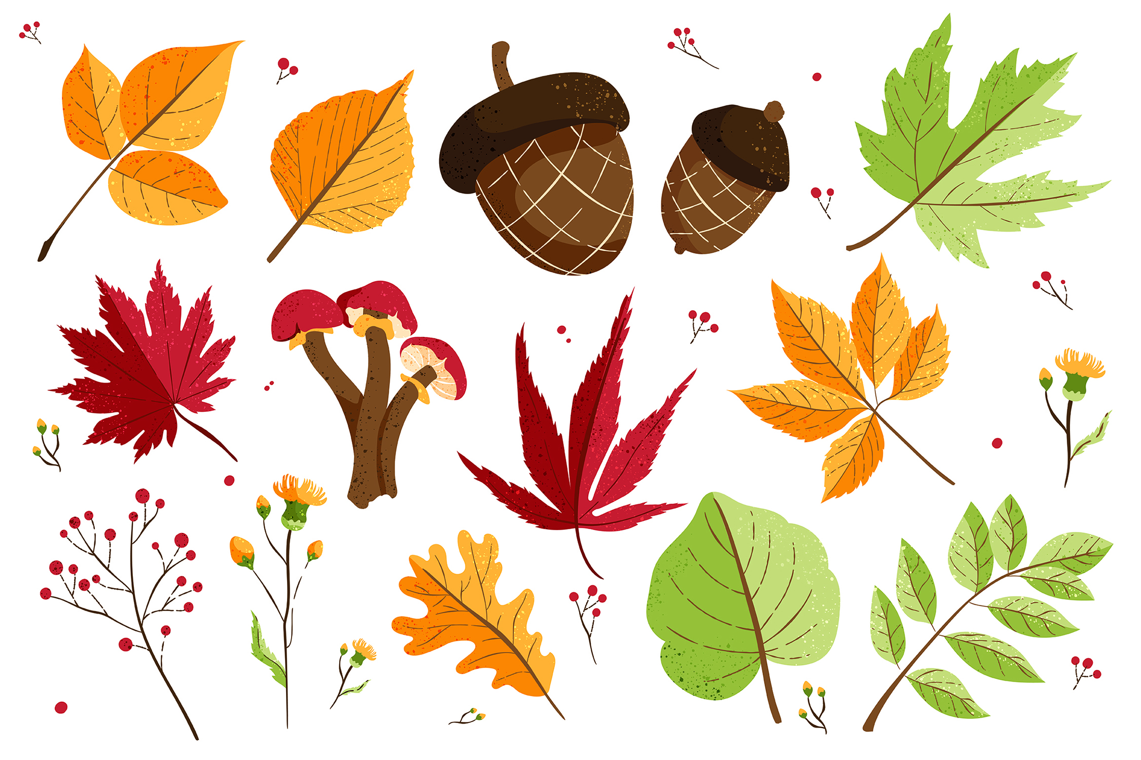 Autumn Fall Foliage Acorn Leaves Vector Clipart Illustrations