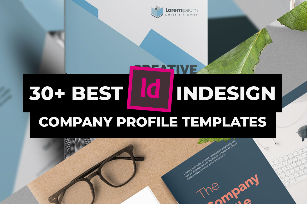 30+ Best Company Profile Templates for InDesign