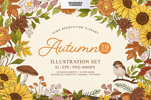 Fall Autumn Illustrations Set