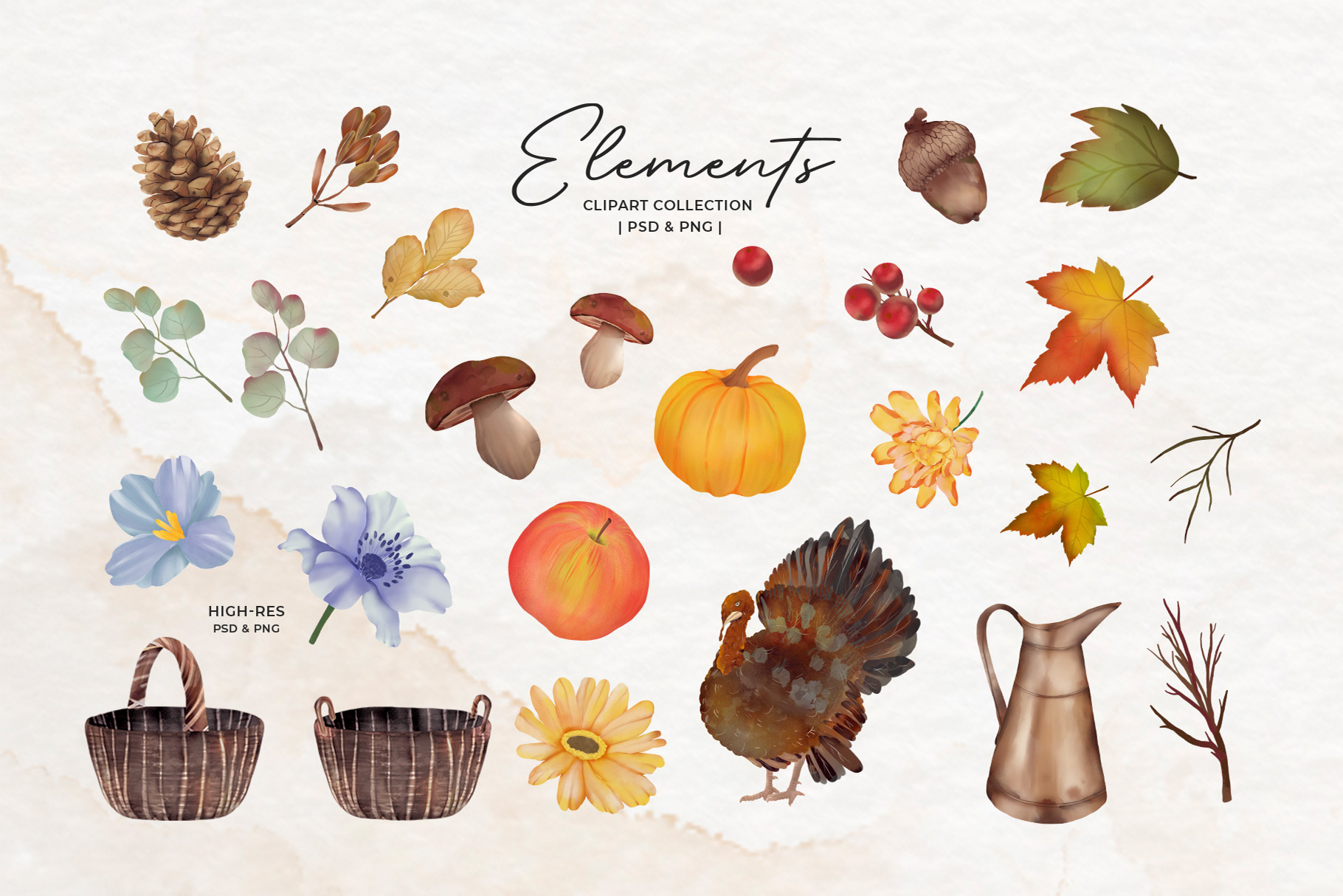 Autumn Fall Watercolor Clipart (PSD, PNG Format)