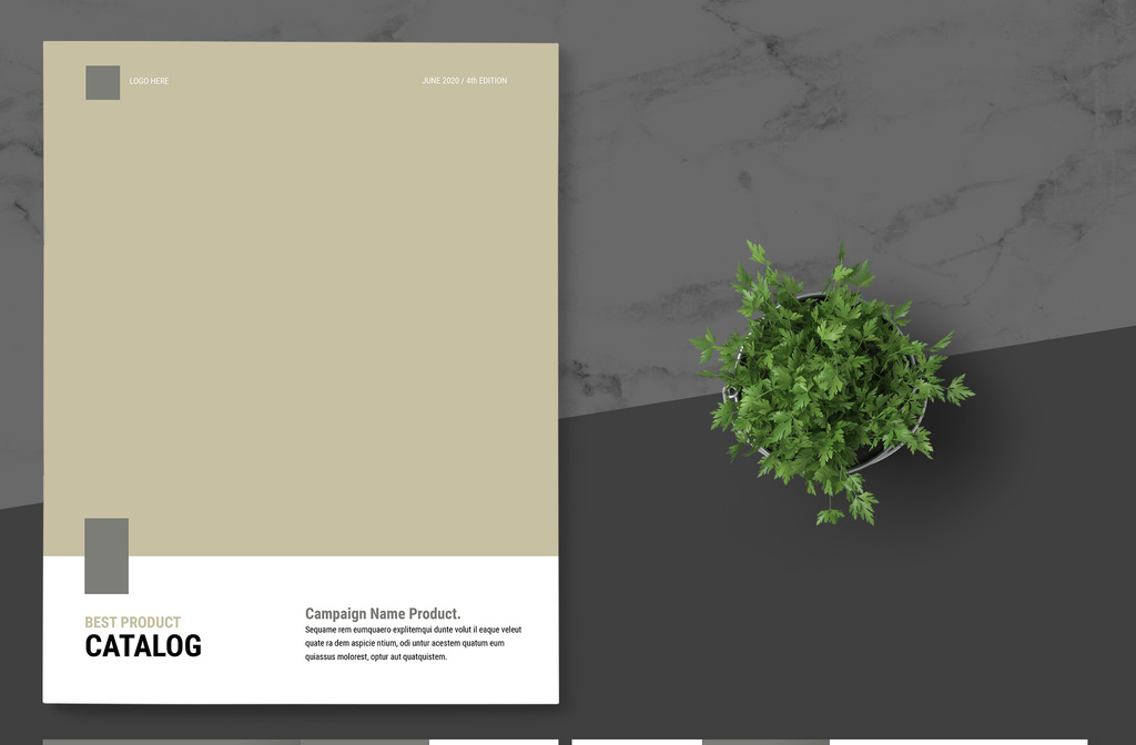 product-catalog-layout-with-brown-accent-indd