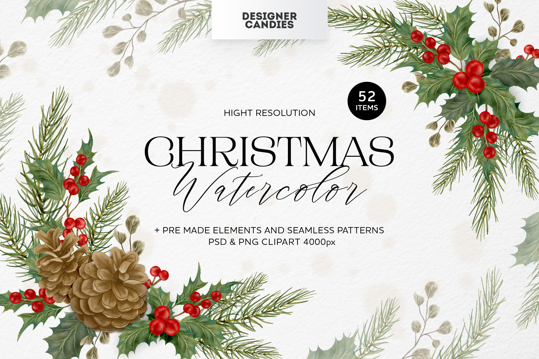 Christmas Leaves & Floral Elements