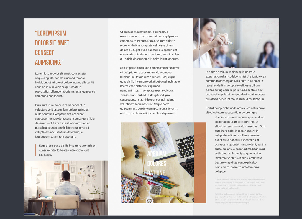 Professional Trifold Brochures (PSD Format)