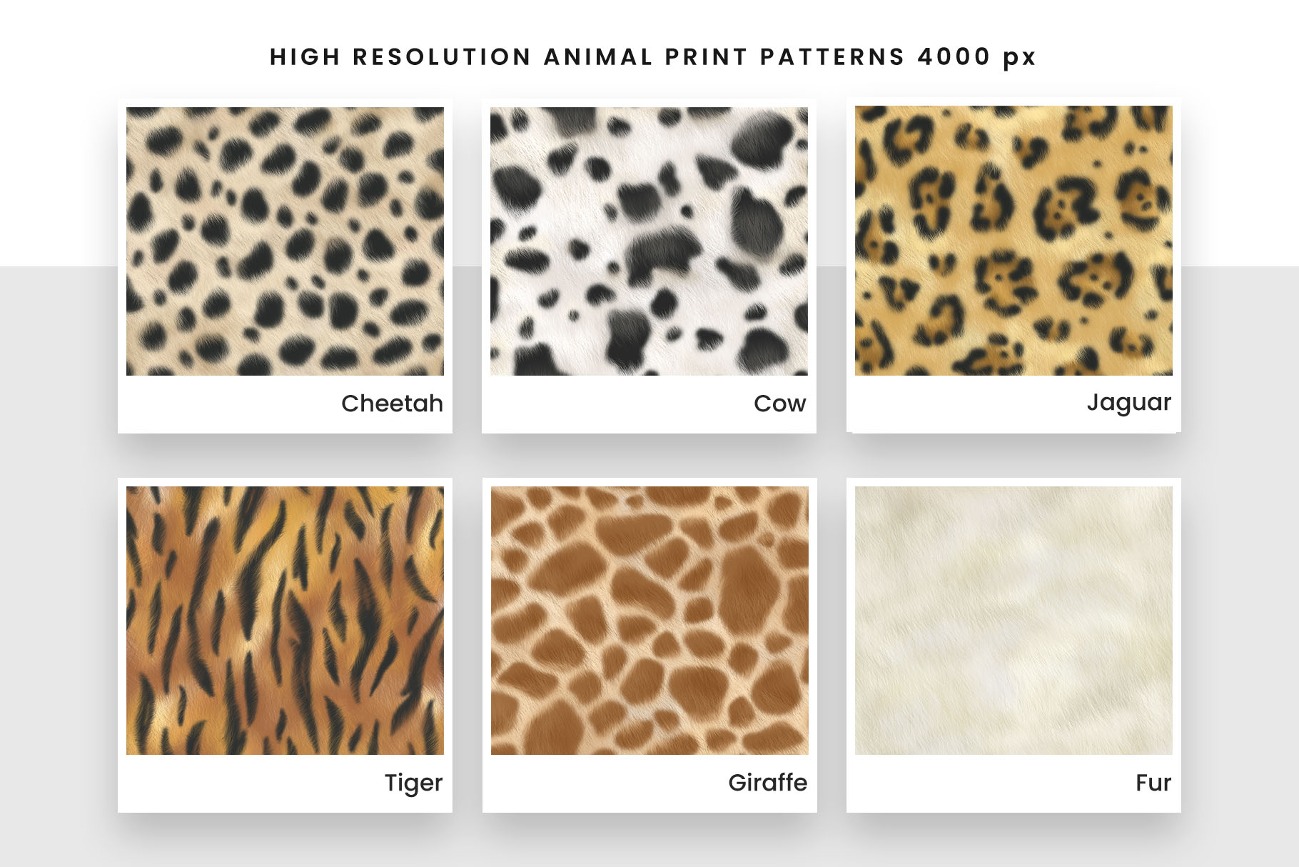 Animal Patterns (PSD, PAT, JPEG Format)