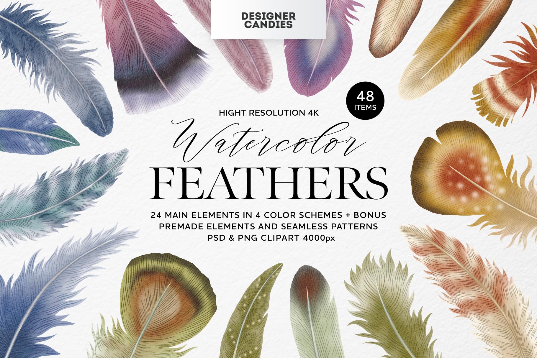 Feathers Watercolor Clipart Set
