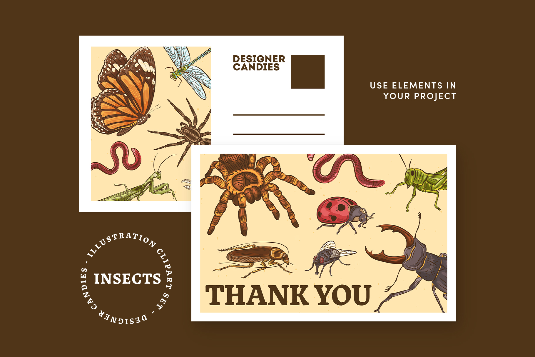 Insects Illustrations (EPS, PNG, AI Format)