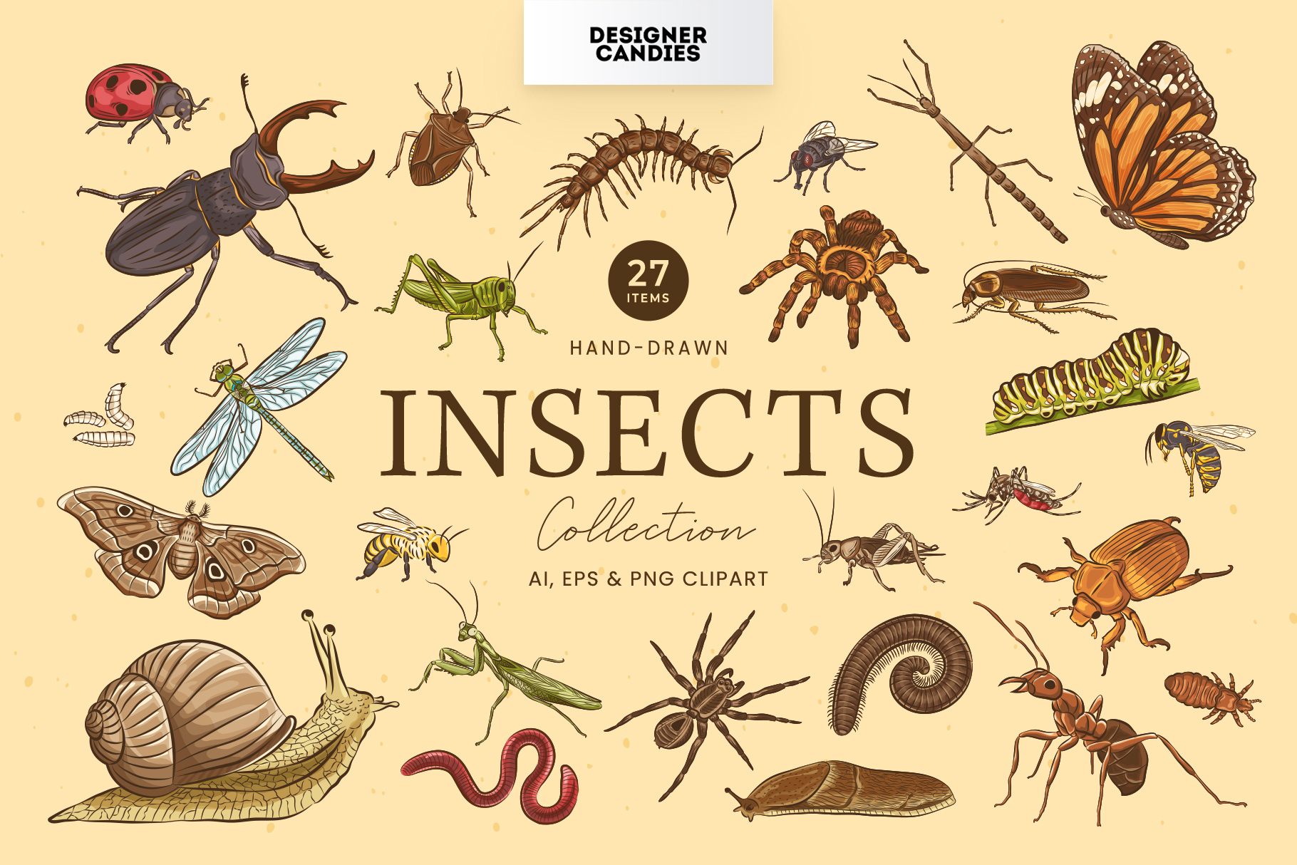 Insects Vector Illustrations Set