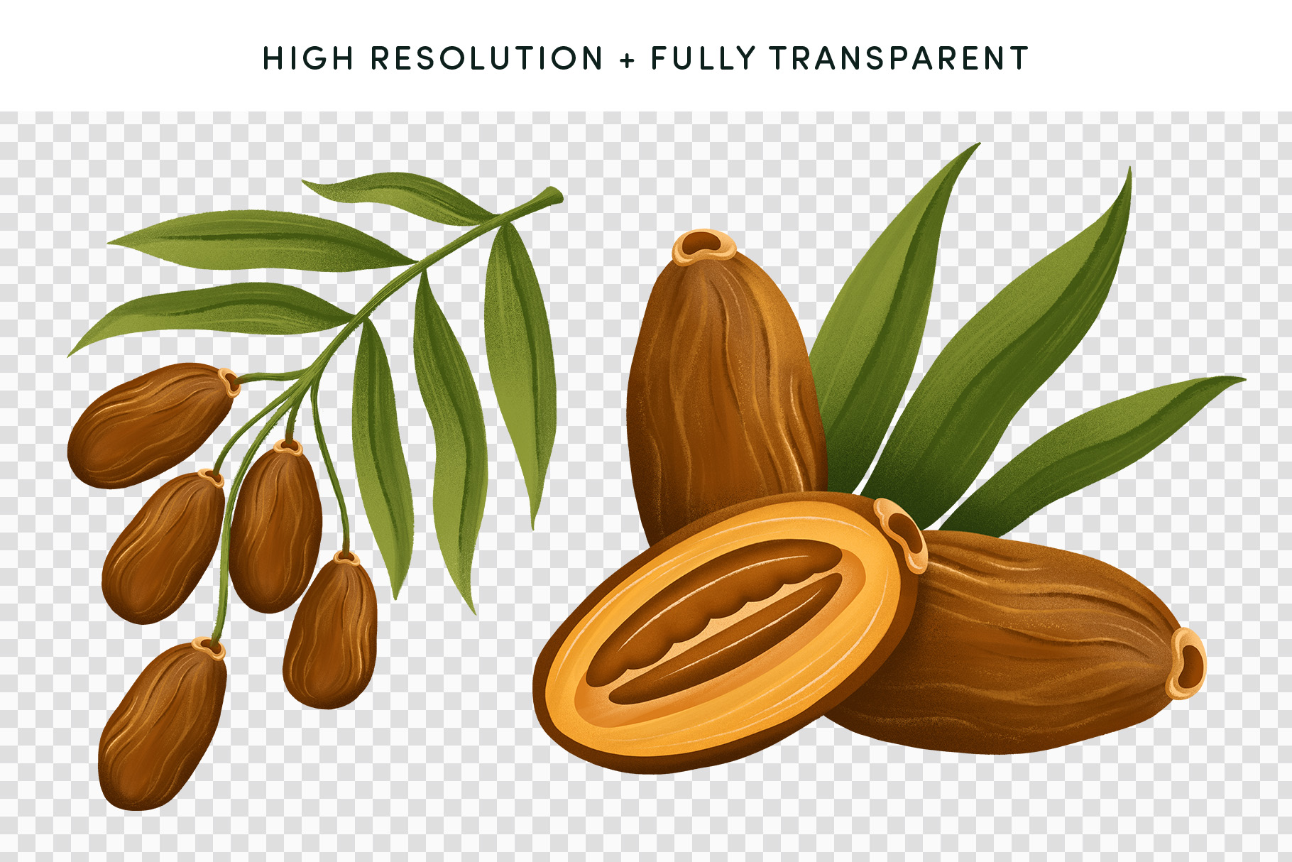 Dates for Ramadan (PSD, PNG Format)