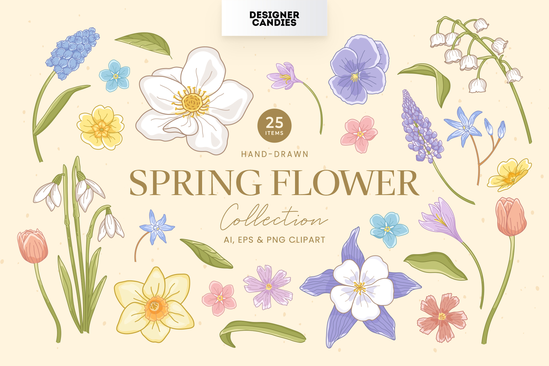 Spring Flower Illustrations (Vector & PNG Clipart)