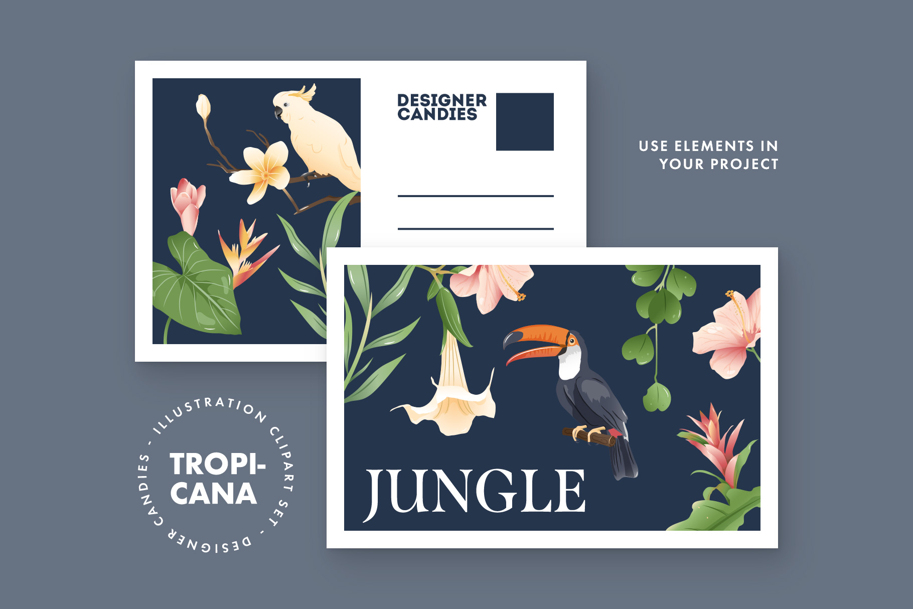 Tropical Illustrations Set (AI, EPS, PNG Format)