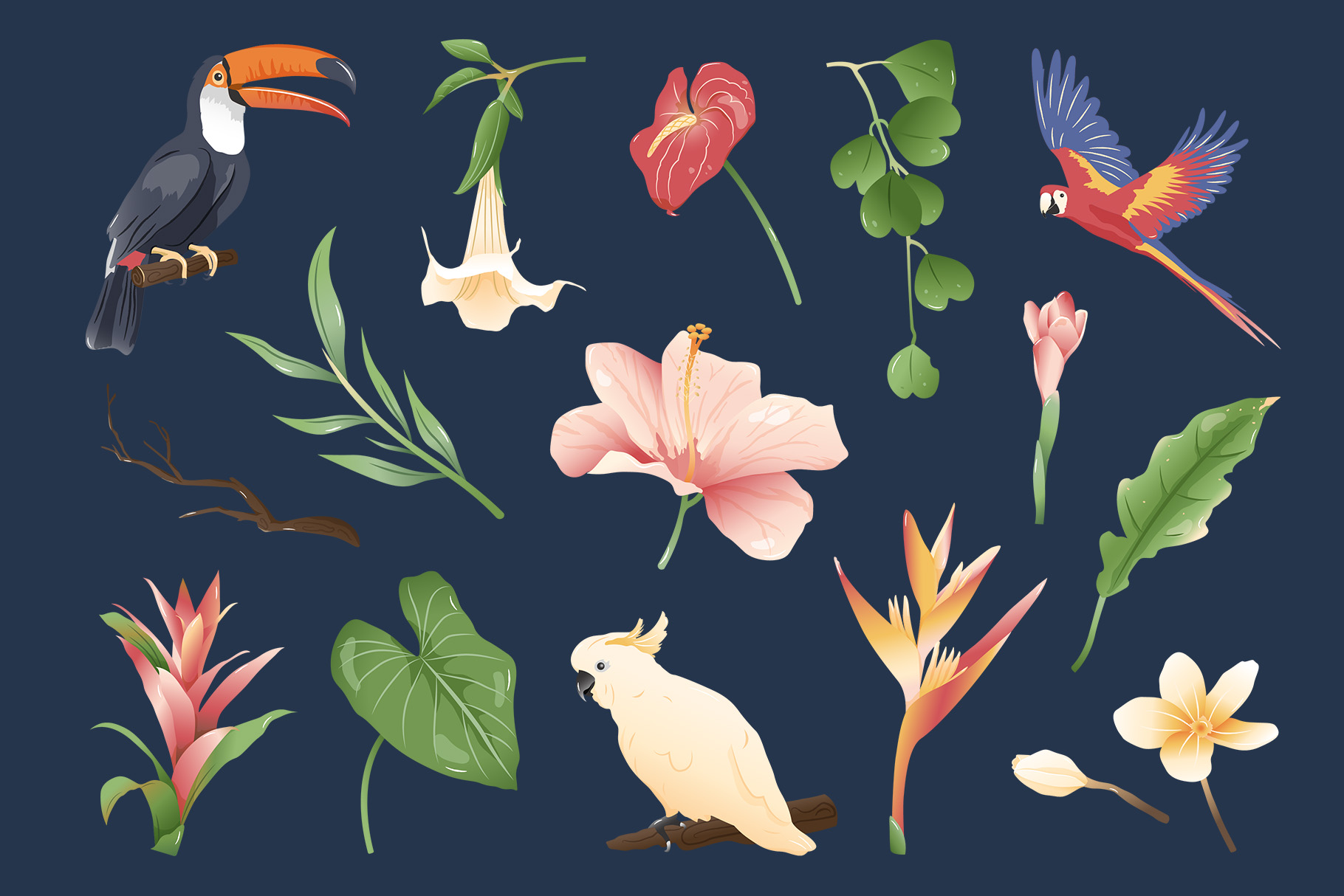 Tropical Illustrations Set (AI, EPS, PNG Format)