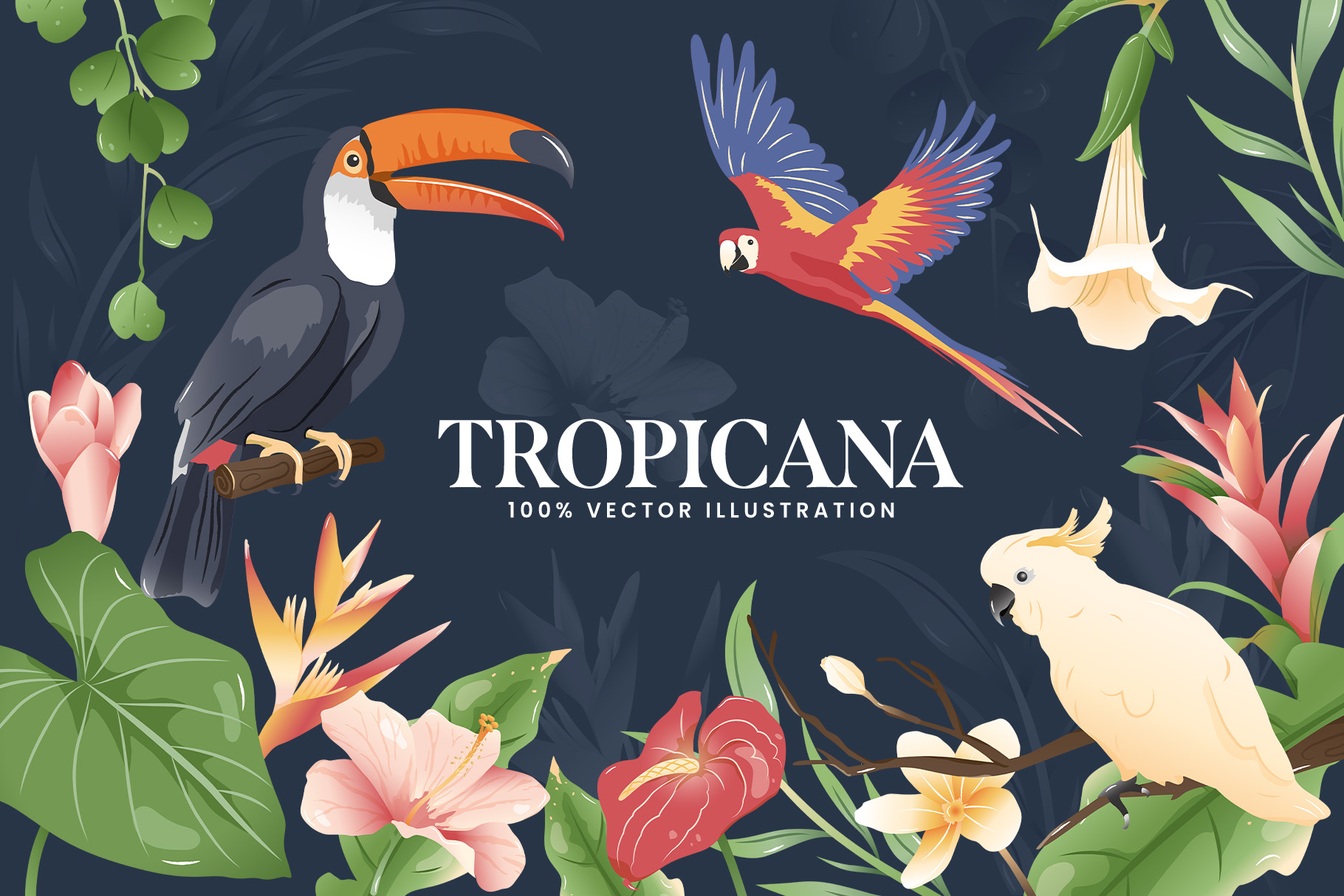 Tropical Vector Illustrations Set