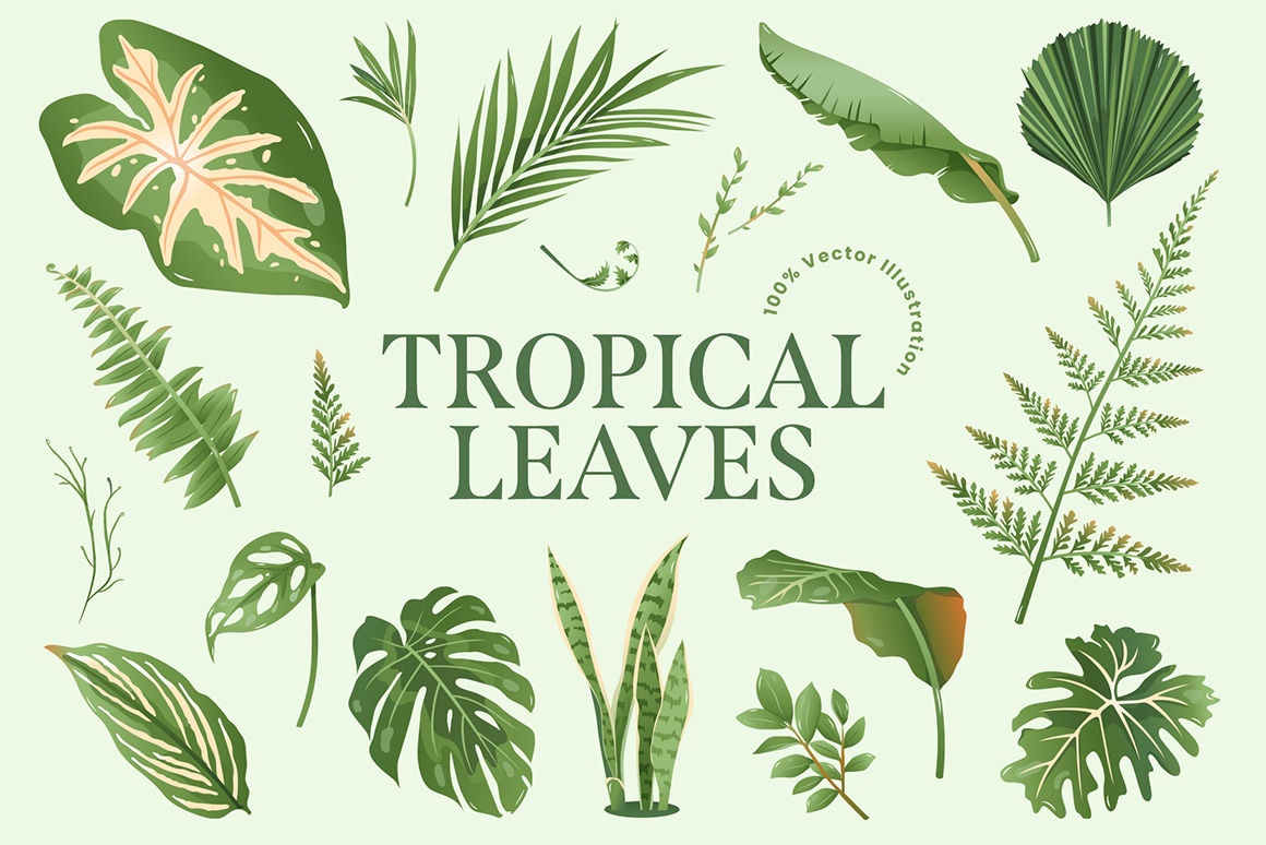 Tropical Leaves & Foliage Vector Illustrations