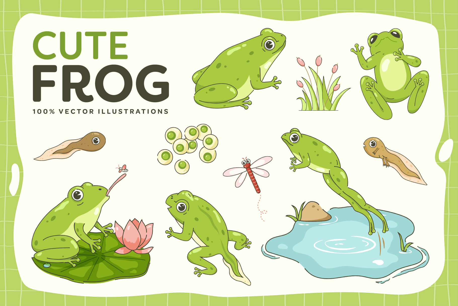 Frog Illustrations Set