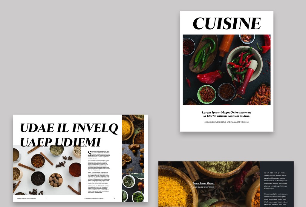 ark-gray-and-white-magazine-layout-indd