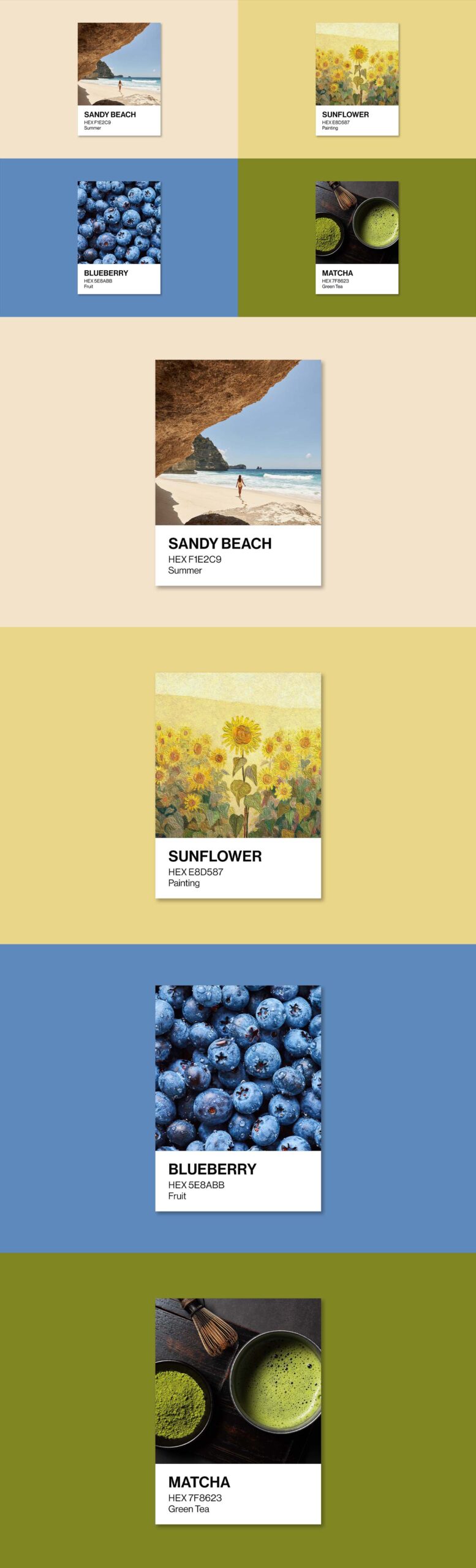 Color Palette Card Mockup Template in PSD