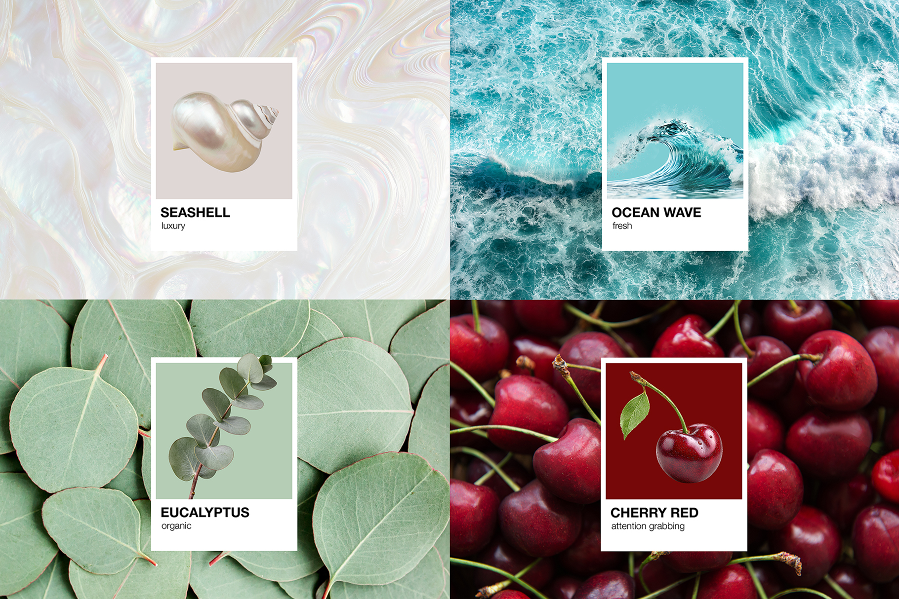 Pantone Color Card Mockup Template