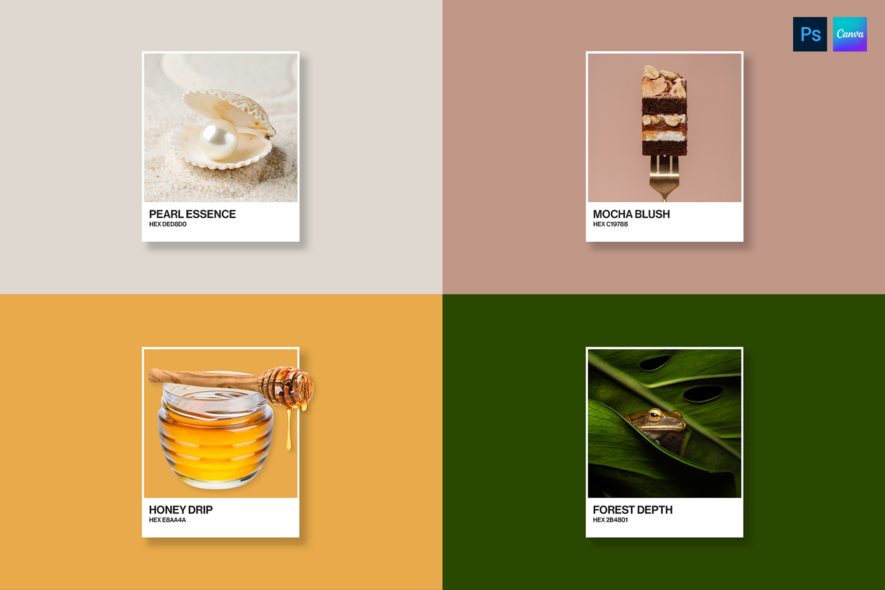 Pantone Color Card Mockup Template