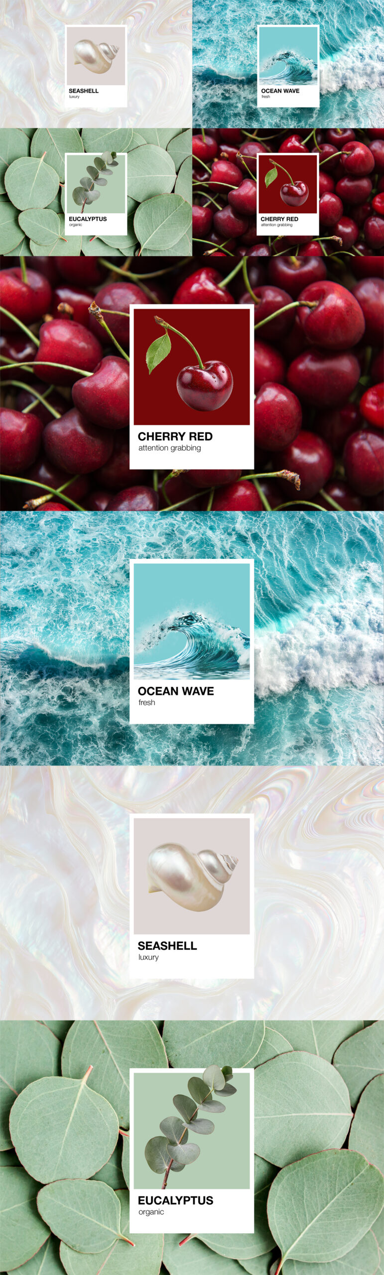 Pantone Color Card Mockup Template in PSD