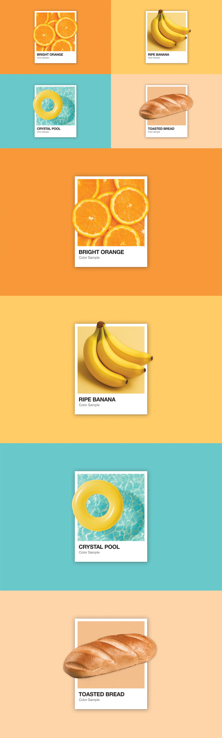 Pantone Color Card Mockup Template in PSD