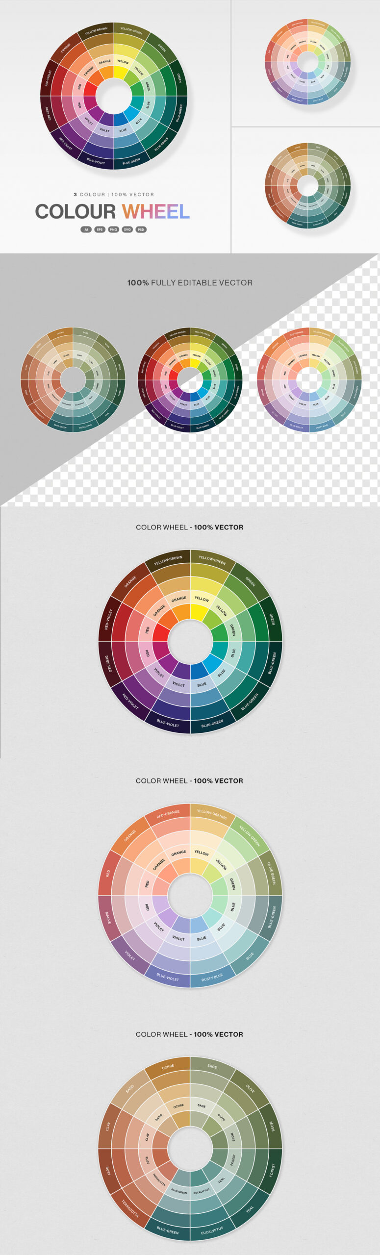 Color Wheel Chart Template in PNG, AI, PSD, EPS and SVG
